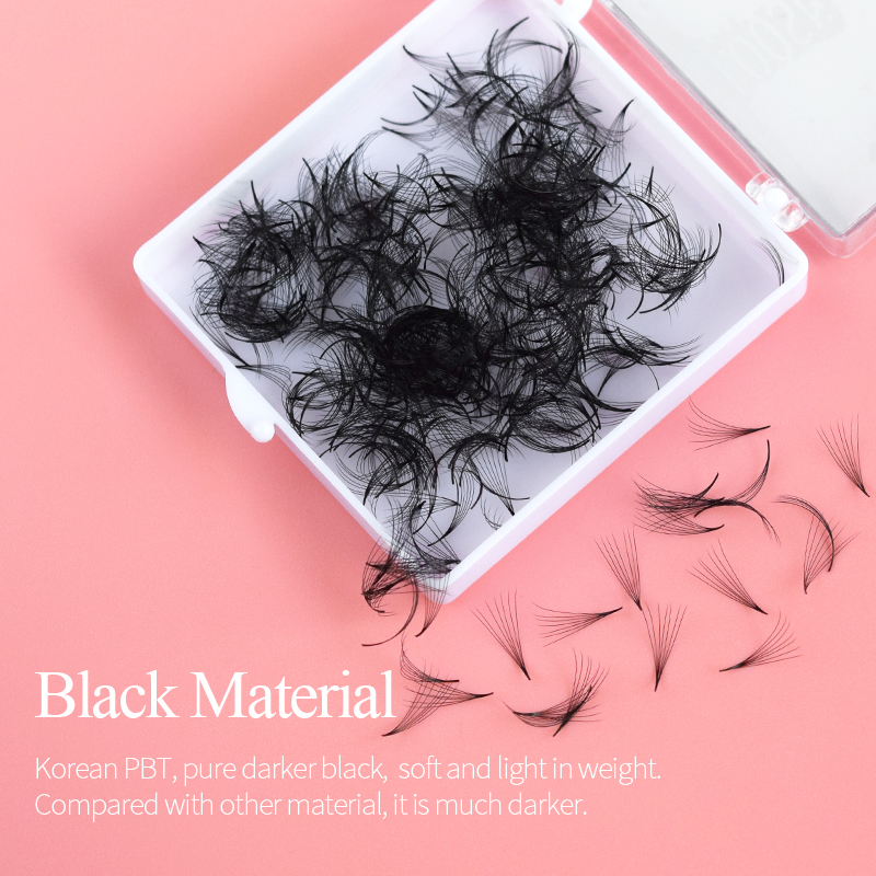 Song Lashes Promade Fans 3D-10 - Eyelash Extension Korean Style 评论和价格
