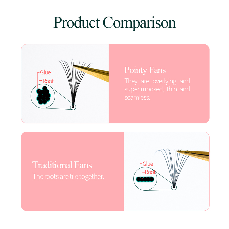 Song Lashes Promade Fans 3D-10 - Eyelash Extension Korean Style 评论和价格