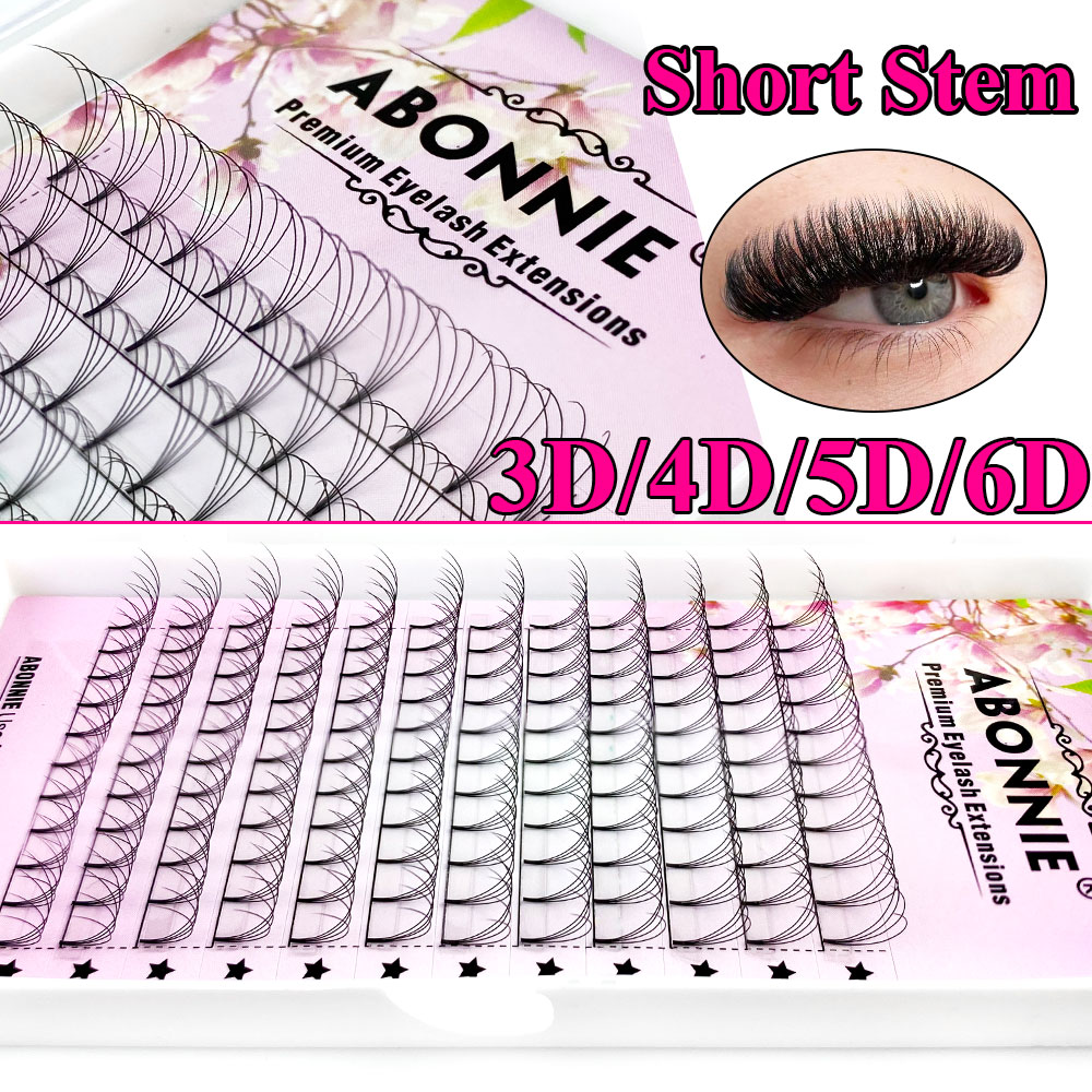 Abonnie 6D Narrow Fan Premade  - Eyelash Extension Review 评论和价格